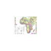 Carte métallogénique internationale de l'Afrique