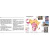 Visages du continent africain