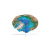 The Changing Faces of the Arctic (CD-ROM uniquement)